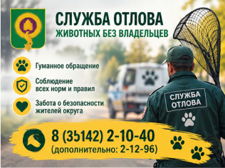 Отлов собак